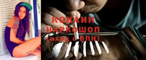 амф Козельск
