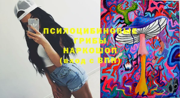 бошки Козловка