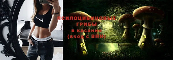 бошки Козловка