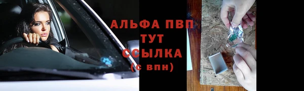 PSILOCYBIN Костерёво