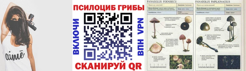 Купить закладки  Облучье  Псилоцибиновые грибы Magic Shrooms 